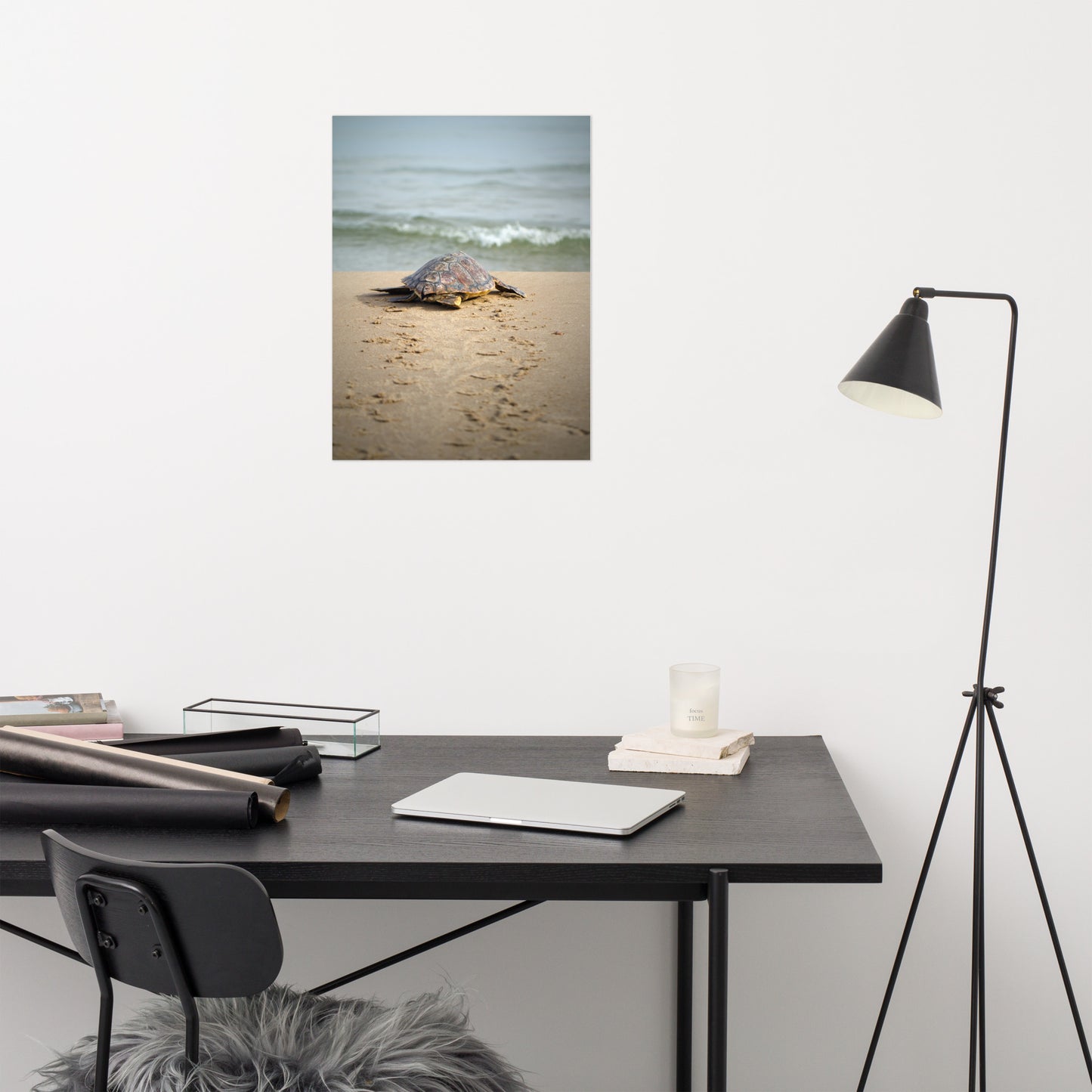 Classic Art Prints: Sea Turtle Hatchling On The Shore Animal / Wildlife / Coastal / Nature Photograph Unframed / Loose / Frameless / Frameable Wall Art Prints - Artwork