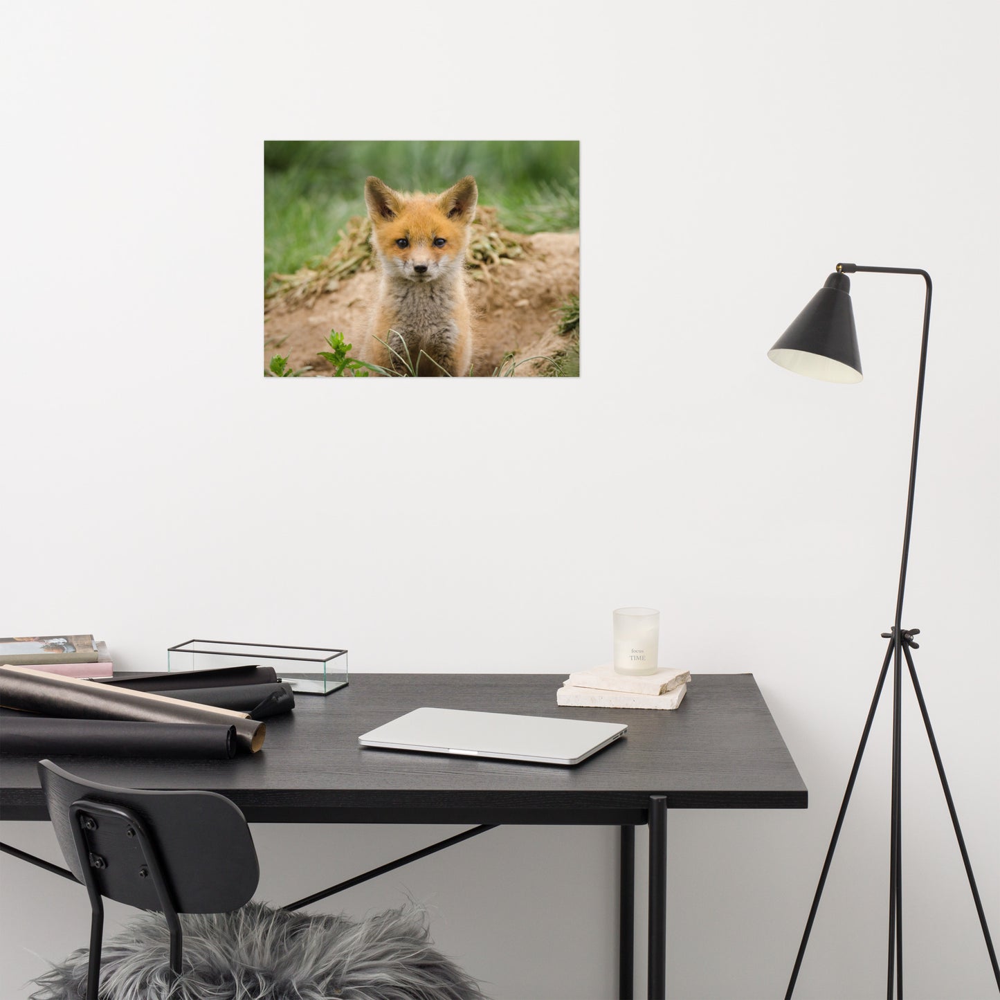 Bathroom Wall Hanging Pictures: Young Red Fox Kit - Animal / Wildlife / Nature Photograph Loose / Unframed / Frameless / Frameable Wall Art Print / Artwork