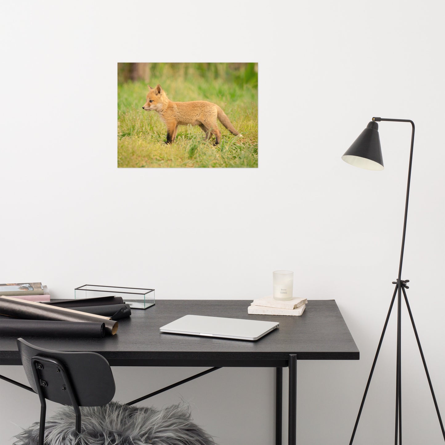 Infant Wall Art: Fox Pup In Meadow - Animal / Wildlife / Nature Photograph Loose / Unframed / Frameless / Frameable Wall Art Print / Artwork