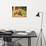 Baby Red Foxes Close to You Loose Wall Art Print