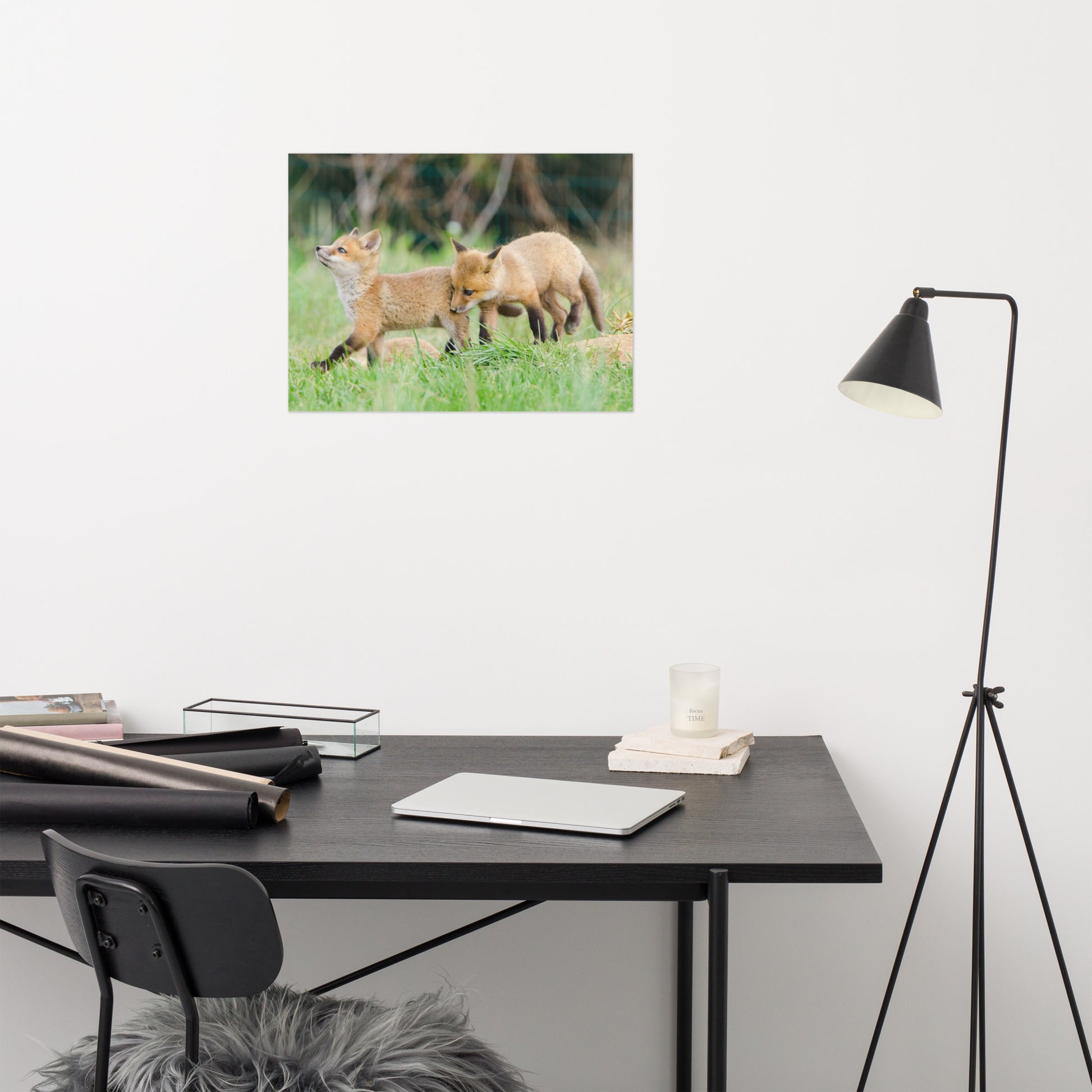 Pastel Nursery Art: Playful Red Fox Pups In Field Animal / Wildlife Photograph Loose / Unframed / Frameless / Frameable Wall Art Prints