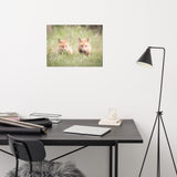 Baby Red Foxes Learning to Hunt Loose Wall Art Print