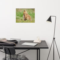 Baby Red Foxes Sibling Kisses Loose Wall Art Print