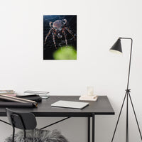 Backyard Buddy Loose Wall Art Print