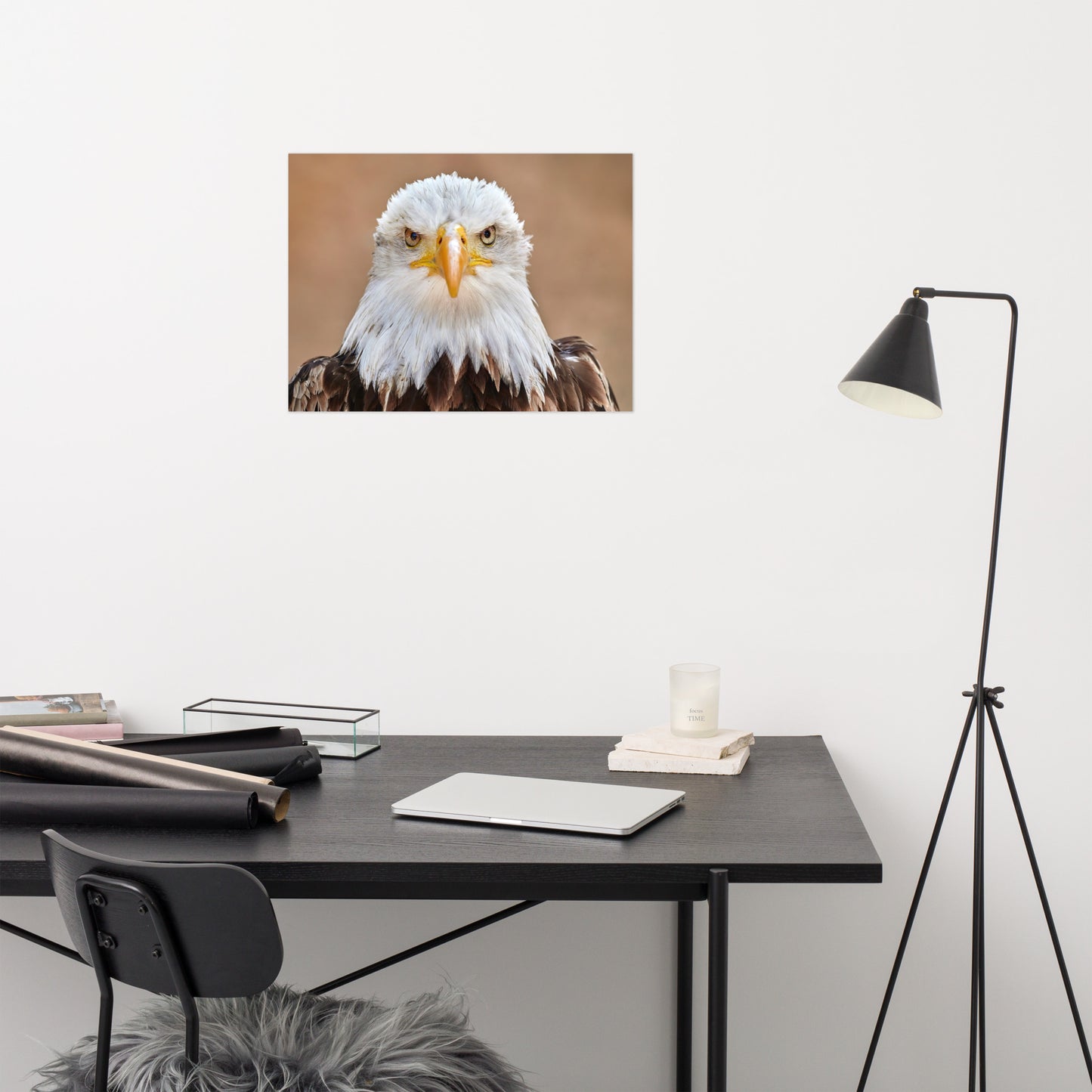 Bald Eagle Portrait Close-up 2 Loose Wall Art Print