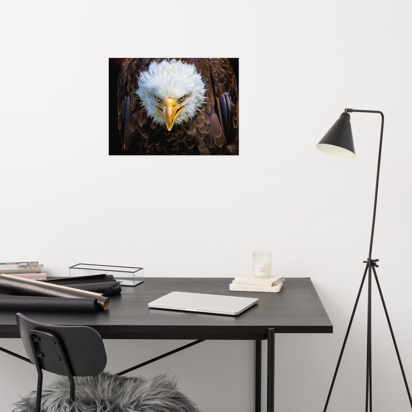 Bald Eagle Portrait Close-up Loose Wall Art Print