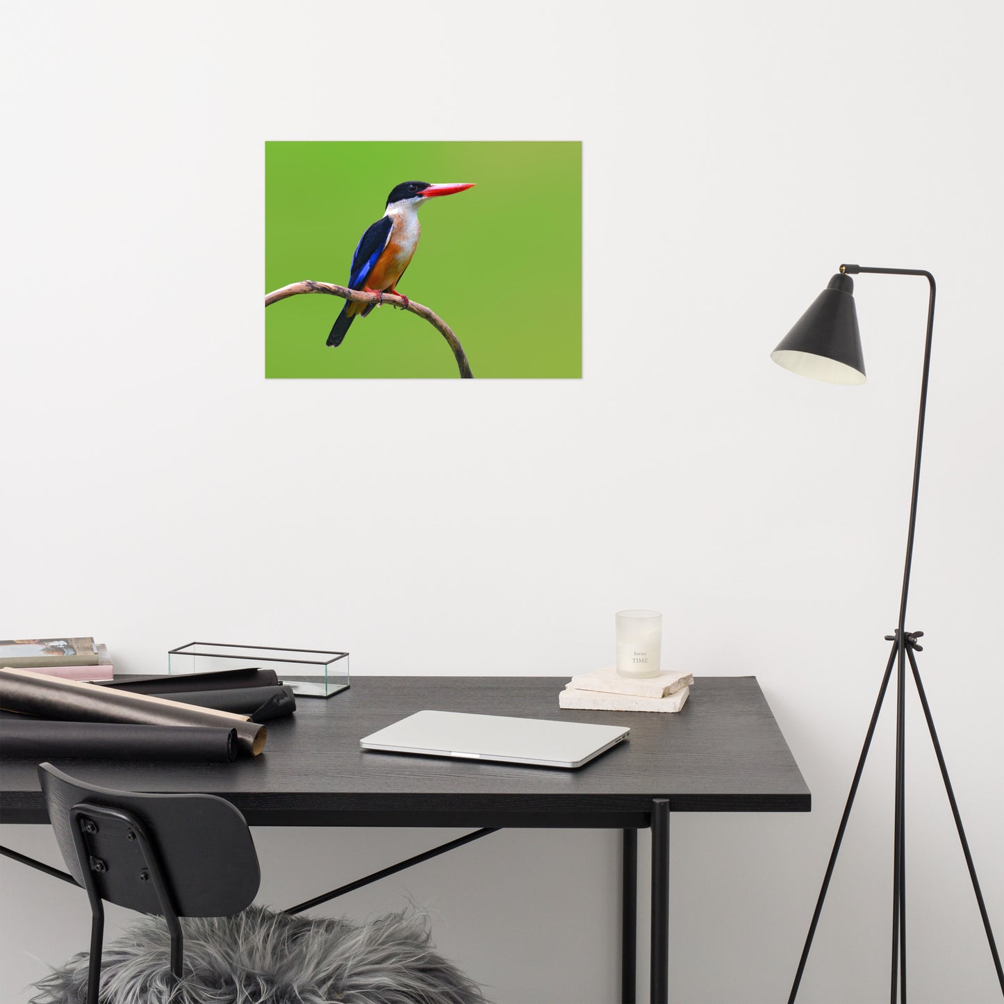 Black Capped Kingfisher Bird on Perch Loose Wall Art Print