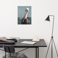 Bob The Pelican 3 Colorized Loose Wall Art Print
