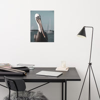 Bob The Pelican 3R Colorized Loose Wall Art Print
