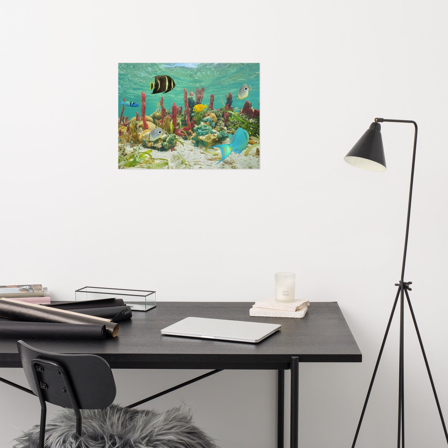 Colorful Tropical Fish - Animal Wildlife Photograph Loose Wall Art Print