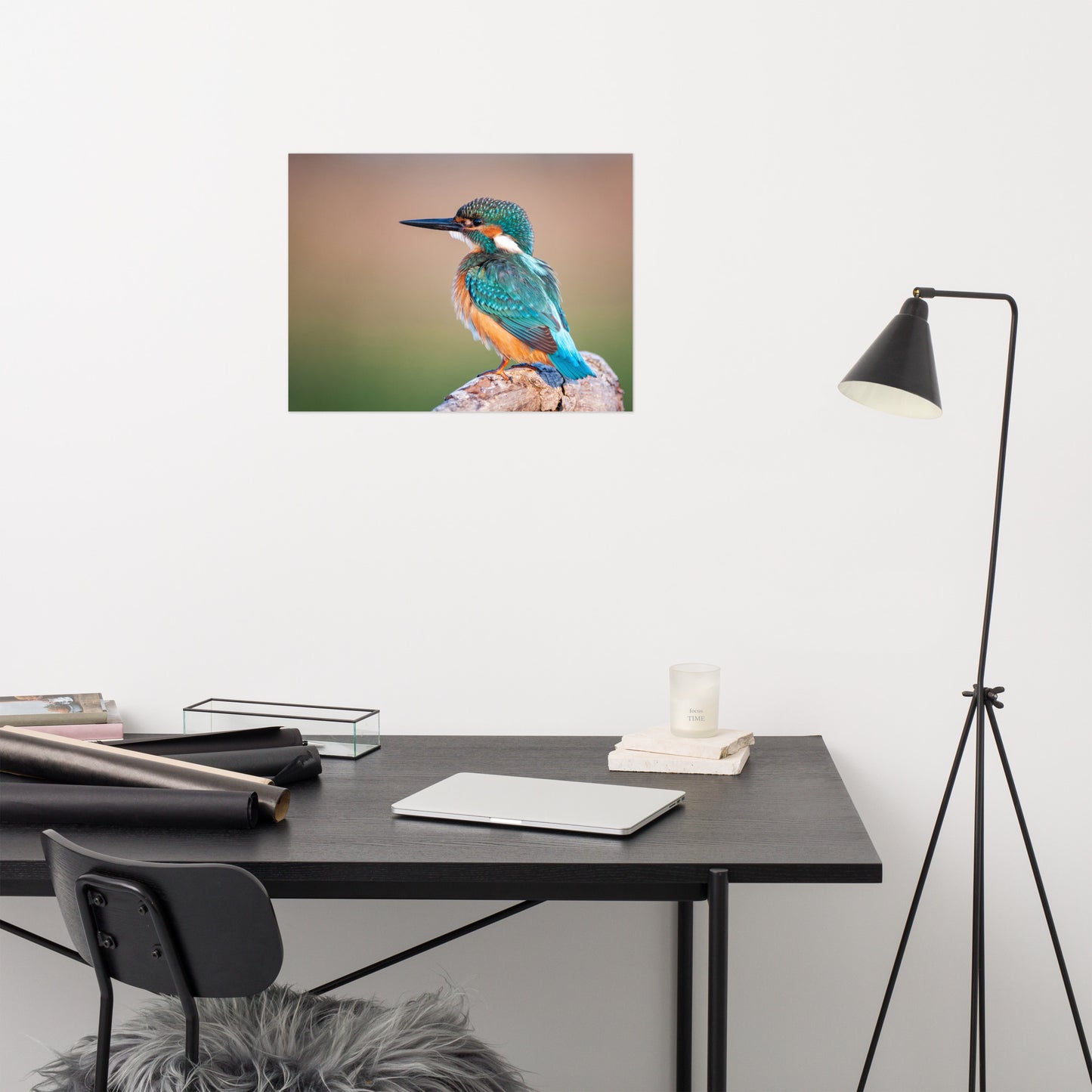 Common Kingfisher Bird on Perch Loose Wall Art Print