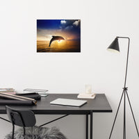 Dramatic Coastal Sunset On The Water With Jumping Bottle Noise Dolphin Animal Wildlife Photograph Loose Wall Art Print