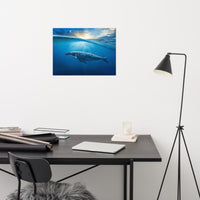 Dreamy Blue Whale Ocean Sunset Glory Rays Loose Wall Art Print