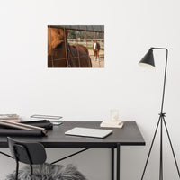 Fenced In Loose Wall Art Print