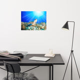 Green Sea Turtle In Tropical Coral Reef and Sunbeams Animal Wildlife Photograph Loose Wall Art Print