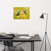 Hummingbirds with Little Pink Flowers Loose Wall Art Print