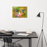 Hummingbirds with Pink Flower Loose Wall Art Print