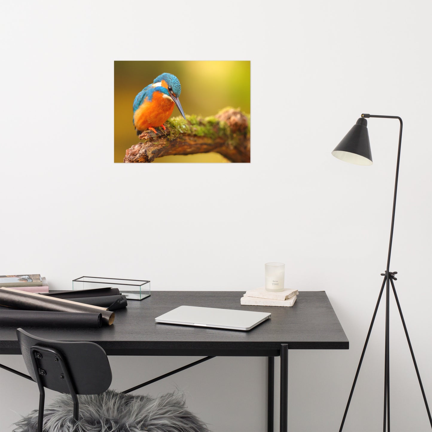 Kingfisher Bird on Perch 2 Loose Wall Art Print