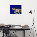 Sea Turtle 2 Loose Wall Art Print