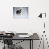 The Victor - Golden Eagle with Prey In The Mist Loose Wall Art Print