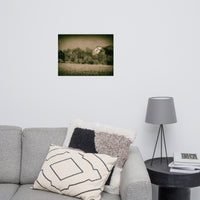 Abandoned Barn In The Trees Vintage Loose Wall Art Prints