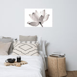 Lotus Flower Tinted Effect Floral Nature Photo Loose Flower Wall Art Print