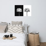 Lotus Flower on Black and White Background Floral Nature Photo Loose Flower Wall Art Print