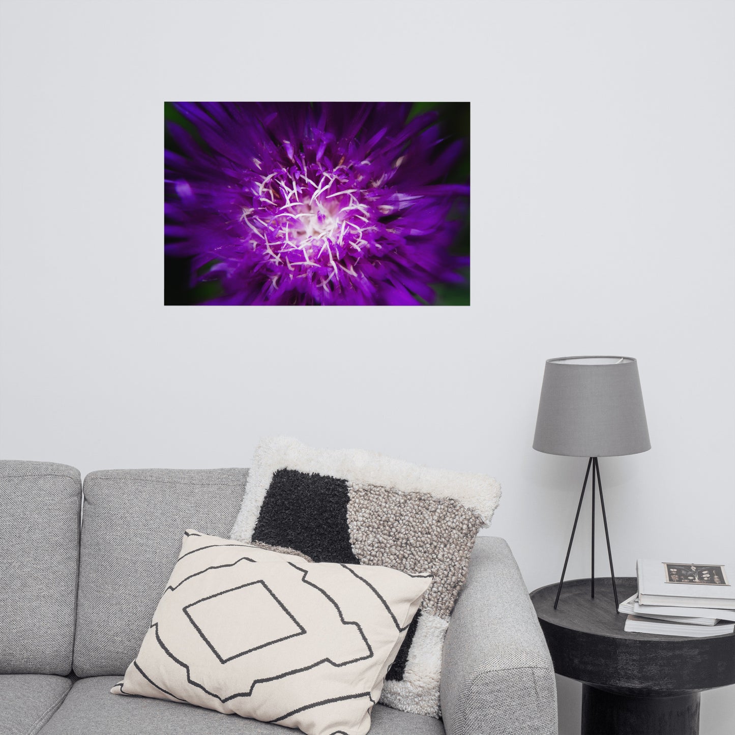 Living Room Wall Decor Minimalist: Dark Purple and White Aster Bloom Close-up - Botanical / Floral / Flora / Flowers / Nature Photograph Loose / Unframed / Frameless / Frameable Wall Art Print - Artwork