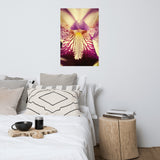 Antiqued Iris Floral Nature Photo Loose Unframed Wall Art Prints