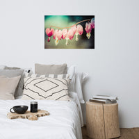 Be Still My Bleeding Heart Colorized Floral Nature Photo Loose Unframed Wall Art Prints