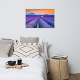 Blooming Lavender Field and Sunset Loose Wall Art Prints