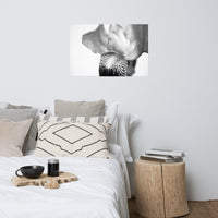 Bold Iris on White Black and White Floral Nature Photo Loose Unframed Wall Art Prints