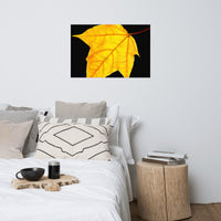 Brilliant Yellow Botanical Nature Photo Loose Unframed Wall Art Prints