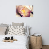 Close-up of Orchid Floral Nature Photo Loose Unframed Wall Art Prints
