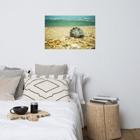 Daydreams on the Shore Coastal Nature Photo Loose Unframed Wall Art Prints