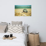 Daydreams on the Shore Coastal Nature Photo Loose Unframed Wall Art Prints