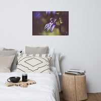 Dramatic Blue Lobelia Floral Nature Photo Loose Unframed Wall Art Prints