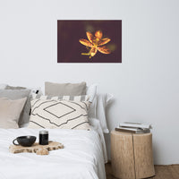 Dramatic Orange Leopard Lily Flower Nature Photo Loose Unframed Wall Art Prints
