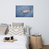 Fallen Leaf in The Rain Color Botanical Nature Photo Loose Unframed Wall Art Prints