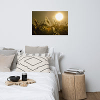 Golden Marsh Weeds Botanical Nature Photo Loose Unframed Wall Art Prints