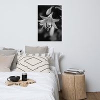 Hosta Bloom Black and White Floral Nature Photo Loose Unframed Wall Art Prints