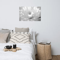 Infrared Flower 2 Black and White Floral Nature Photo Loose Unframed Wall Art Prints