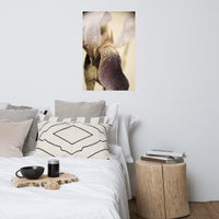 Japanese Iris Delight Aged Floral Nature Photo Loose Unframed Wall Art Prints