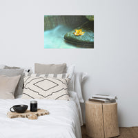 Misty Leaf Botanical Nature Photo Loose Unframed Wall Art Prints