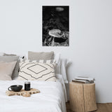 Mushroom on Log Black and White Botanical Nature Photo Loose Unframed Wall Art Prints