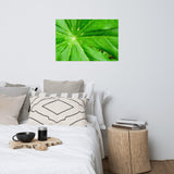 Peaceful Greenery Botanical Nature Photo Loose Unframed Wall Art Prints