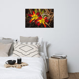 Royal Sunset Lily Floral Nature Photo Loose Unframed Wall Art Prints