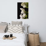 Single Snapdragon Bloom Floral Nature Photo Loose Unframed Wall Art Prints