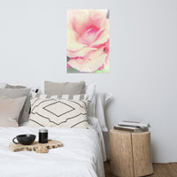 Softened Rose Floral Nature Photo Loose Unframed Wall Art Prints