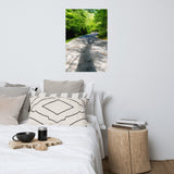 Summer Shadows Botanical Nature Photo Loose Unframed Wall Art Prints